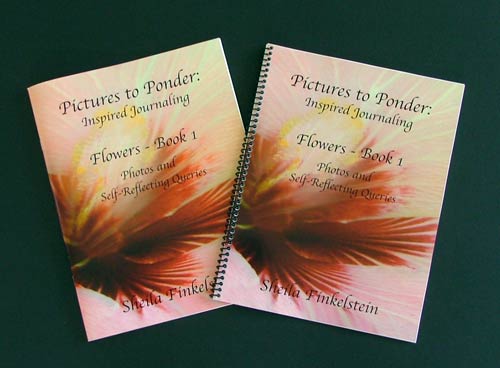 pictures to ponder flowers book cover