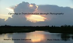 Green Cay sunset on a Business Care