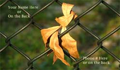 leaf in chain link fence in Wakodahatchee