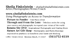 business card - Sheila Finkelstein