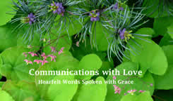 Communications with Love business card - photo by Morgine Jurdan