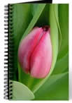 tulip journal