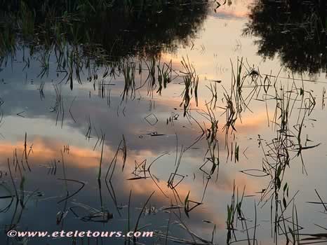 sunset reflections in Wakodahatchee Wetlands