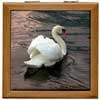 swan on tile box