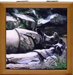 rhinos swimming tile box