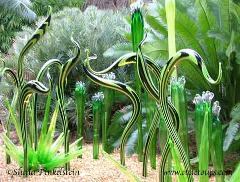 Dale Chihuly green striped glass sculpture at Fairchild Gardens - 2/07