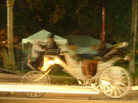 horse and carriage on Atlantic Avenue in Delray Beach