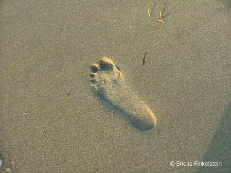 foot print in sand at Delray Beach, FL