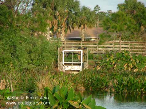 weir in wakodahatchee wetlands
