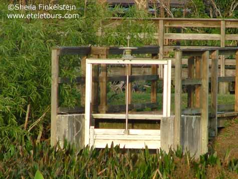 weir in the wetlands