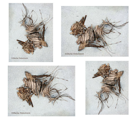 4 views of bark dog