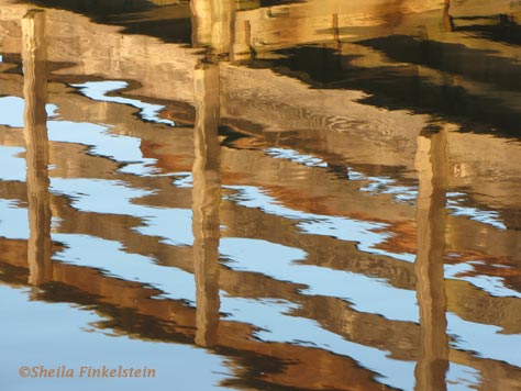 boardwalk reflections in Wakodahatchee Wetlands