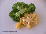 yellow cauliflower images in Picture to Ponder vol2-issue22