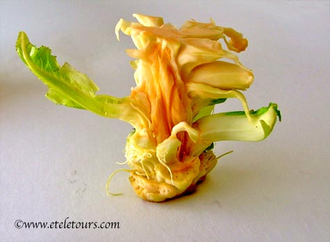 yellow cauliflower core