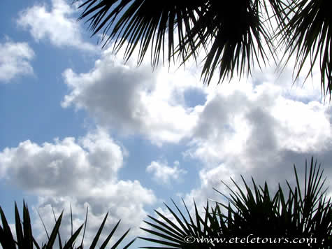 puffy white clouds in Florida
