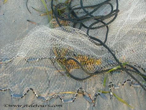 fisherman's net and seaweed on Delray Beach
