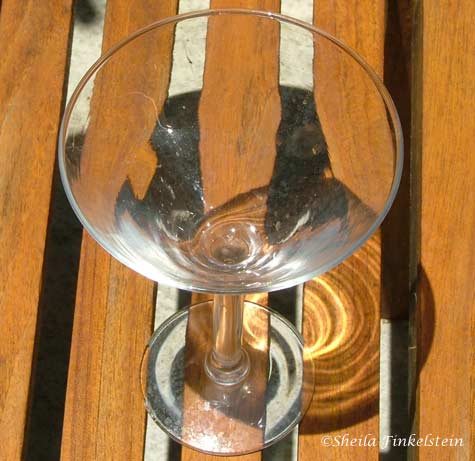 glass and shadows on bench in AOS gardens