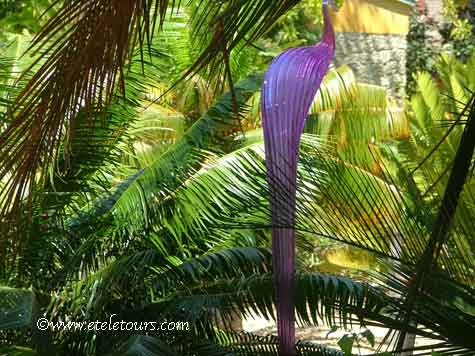 purple glass in palms at Fairchild Gardens