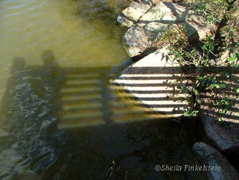 shadows on the water from zigzag bridge at Morikami Gardens