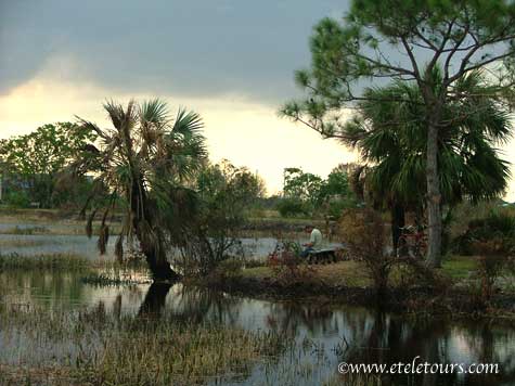Loxahatchee National Wildlife Refuge marshland - biker ponders