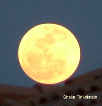 full moon looks like globe