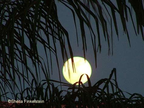 full moon framed