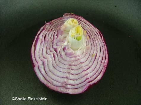 sweet onion