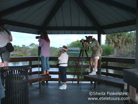 photographers at Wakodahatche Wetlands photographing anhina and great blue heron