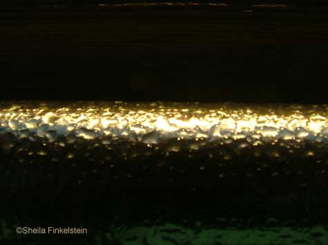 golden dew drops on railing at Green Cay Wetlands