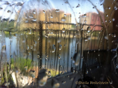 reflections and distortions seen through a plastic water bottle of buildings and a lake at Wyndham Bonnett Creek Resort