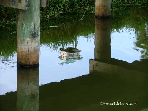 Green Cay Boardwalk reflections