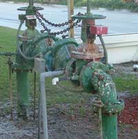 Picture to Ponder - Issue 210