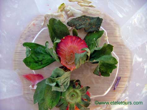 strawberry slice in plastic cup
