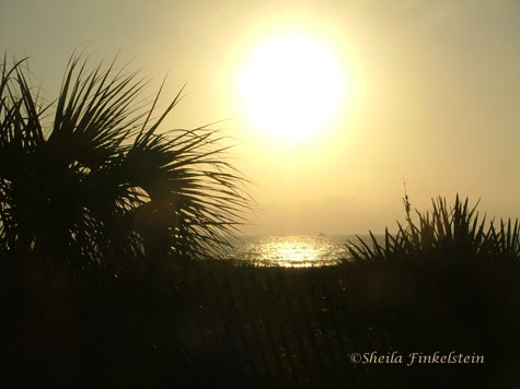 sunrise from the street at Delray Beach