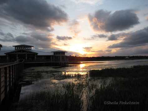 June sunset in Green Cay Wetlands
