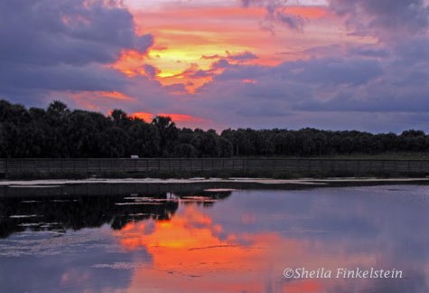 Fiery Green Cay Sunset