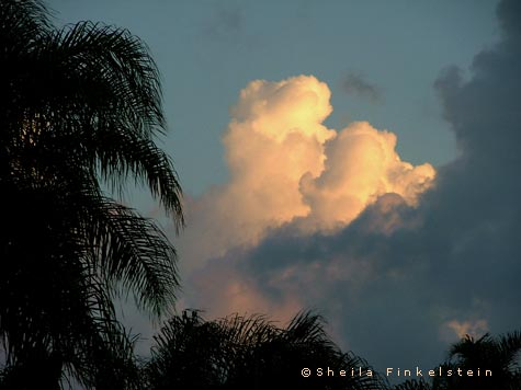 pink clouds at sunset in Boynton Beach
