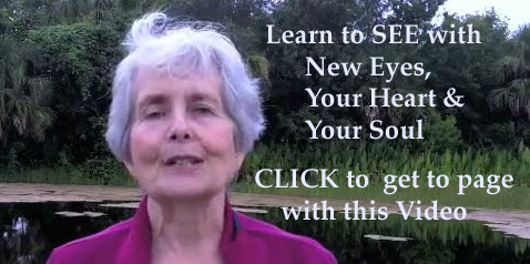 Photo of Green Cay video introduction to TFTL 9-12