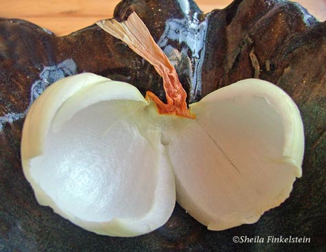 Vidalia onion peel with stem peel 
