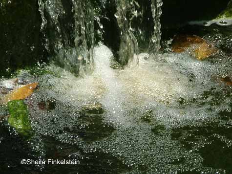 bubbling waterfalls water in AOS greenhouse in Delray Beach, FL