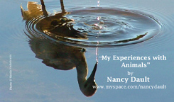 Nancy Dault biz card